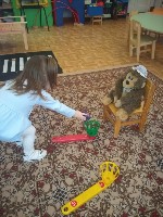 �����������