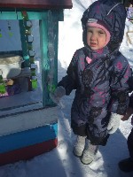 �����������