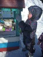 �����������